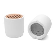 MINI SPEAKER LIMESTONE A30