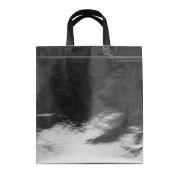 ECO BOLSA SHINY 40X38CM