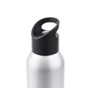 BOTELLA PENGUIN B-16