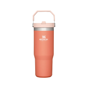 BOTELLA TERMICA STANLEY FLIP STRAW 887ML