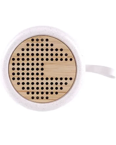PARLANTE NOISE