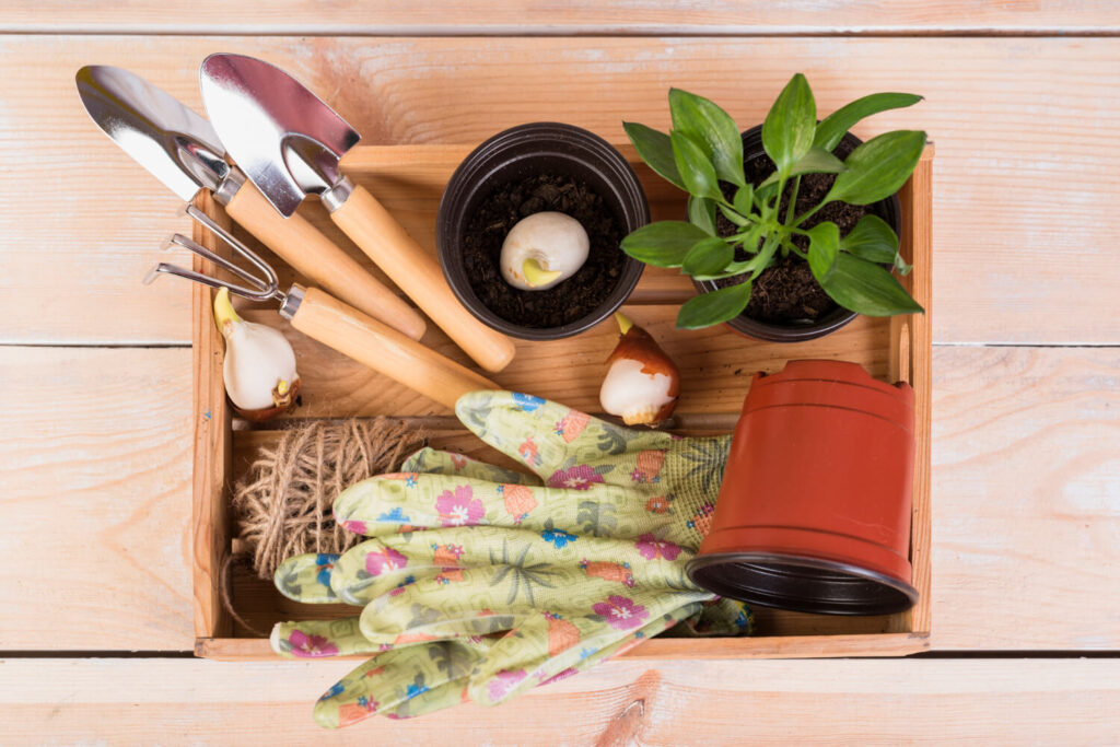 Kit de jardinería como regalos de navidad