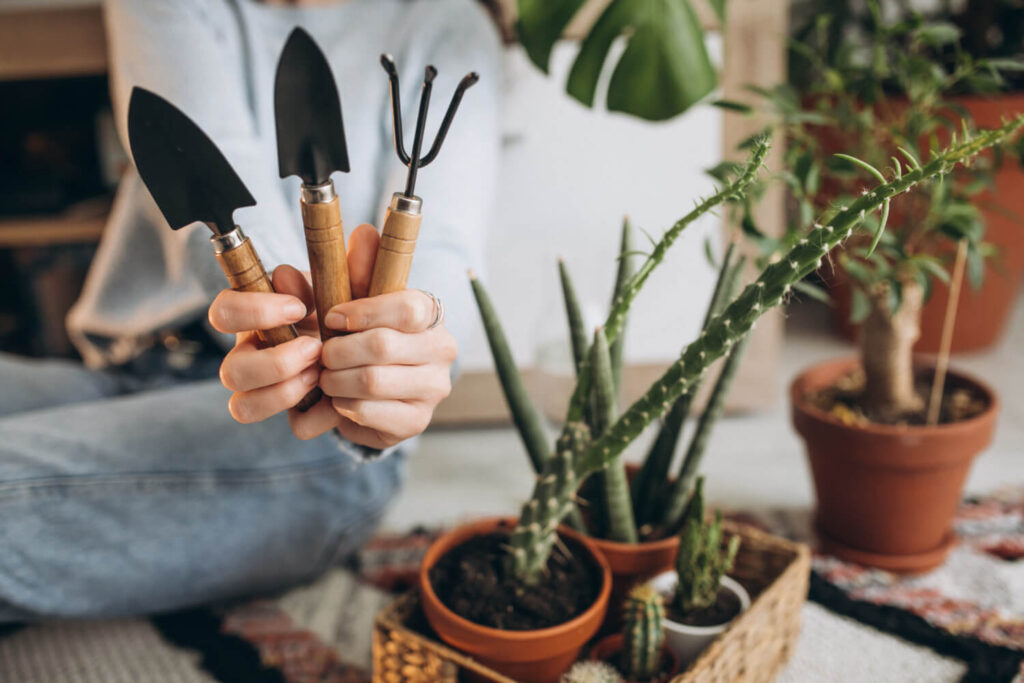 Kit de jardinería como regalos navideños para empleados