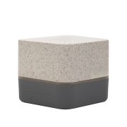 PARLANTE WIRELESS EARTH