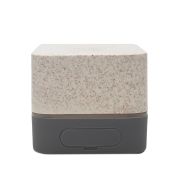 PARLANTE WIRELESS EARTH