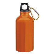 BOTELLA ROY T533