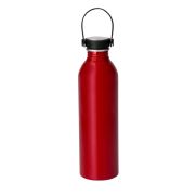 BOTELLA SILLY T704
